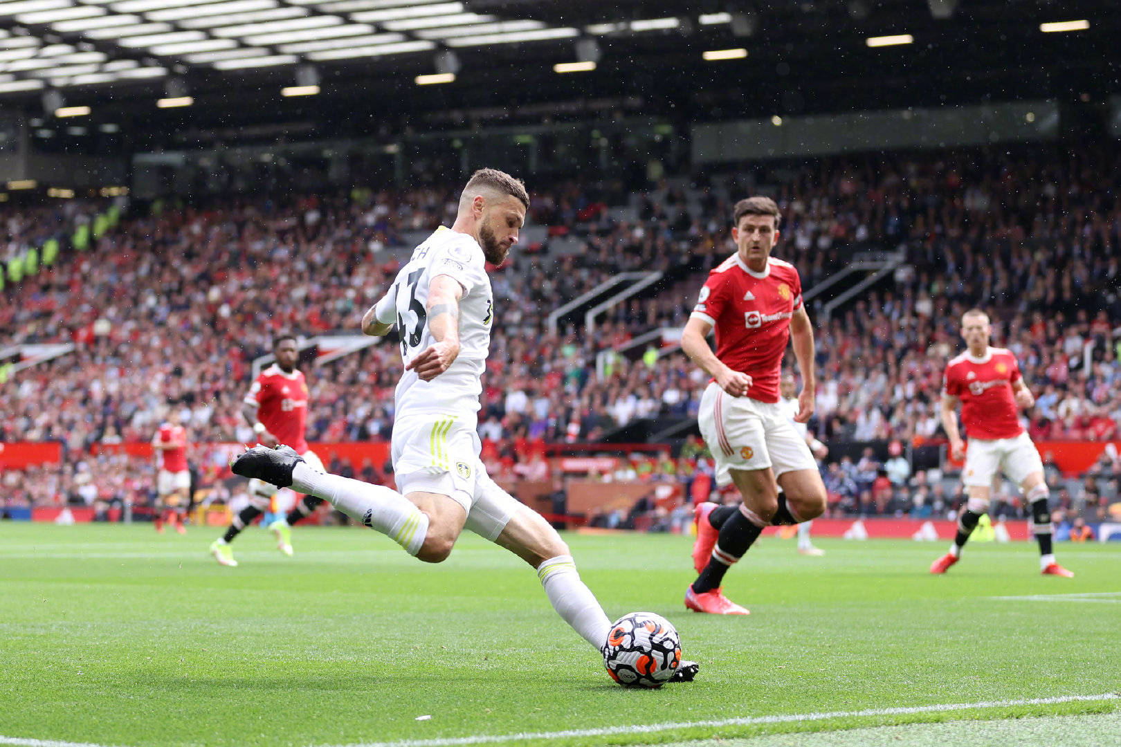 彼得罗维奇 彼得罗维奇